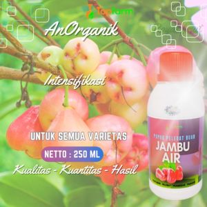 Pupuk Buah Jambu Air Super Lebat / Pupuk Buah Super Lebat Jambu Air / Pupuk Buah Jambu Air Cepat Berbuah / Pupuk Penyubur Buah Jambu Air / Pupuk Pelebat Buah
