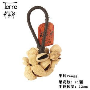 Drei Shell Bell Hand Bell Fruit Rattle Sound Therapy Accompaniment Sleeping Aid Instrument Western Musical Instruments