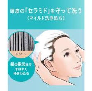 Direct From Japan: Curel Shampoo 420ml/340ml - Low pH Ceramide Solution for Dry & Sensitive Scalp