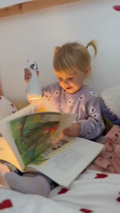 BBLUV โคมไฟซิลิโคนและไฟฉายอเนกประสงค์ 2-in-1 Nightlight & Flashlight