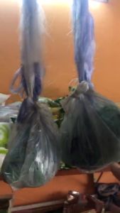 Tay lưới thái thả cá 3 màng mắt lưới 7 phân chiều cao 1m2