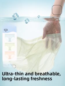 PIER N°5 | Ultra-Thin Breathable Ice-Silk Womens Underwear Pure Cotton Antibacterial Crotch Briefs Seamless Comfortable Mid-Waist Briefs