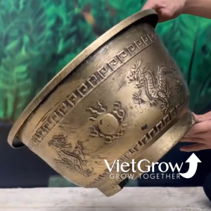 Chậu Nhựa Giả Đồng Song Long Tranh Châu Kích Thước Miệng x Cao x Đáy: 44 x 24 x 28cm 22 Lít