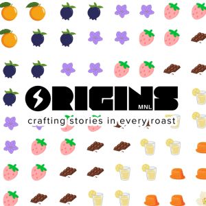 ORIGINS MNL | Single Dosers Specialty Coffee Ethiopia Colombia Panama Geisha Aji Bourbon Sidra 20g