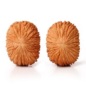 Đồ Chơi Gỗ Gõ Đỏ Hình Đầu Khỉ Vàng Nguyên Bản Đồ Chơi Cầm Tay Nhỏ Đồ Chơi Cầm Tay Ngoài Trời Đồ Chơi Cầm Tay Hình Quả Óc Chó Tròn