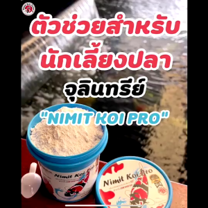Nimit Koi Pro จุลินทรีย์สูตรเข้มข้นพิเศษ สําหรับปลาคาร์ฟ (ขนาด 500 กรัม)