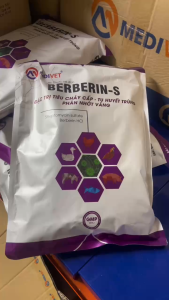 BERBERIN S Thuốc trị tiêu chảy cấp phân xanh vàng nhớt tụ huyết trùng trên gia cầm và gia súc