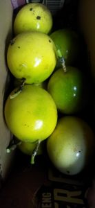 Buah Markisa / Siuh / SAPROLA ASEM MANIS MASAK  1 KG