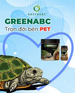 Thức ăn Rùa Nước GREENABC – Cung cấp protein canxi lipid giúp tăng kích thước mai cứng - Hộp 50g và 230g