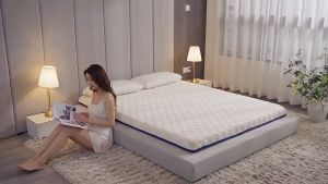 5.5CM Latex Tilam Single Queen King MattressThicker Tatami Tilam Foldable Mattress Latex Mattress Single/Super Single/Queen/King Mattress 乳胶床垫