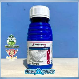 Fungisida AmistarTop 325SC 250ML Syngenta