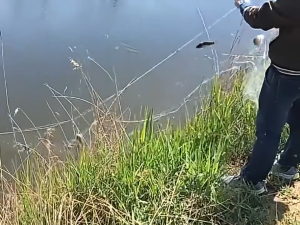 3 Layer Floating Gill Net Nylon 1.2M-1.5M 2F 3F