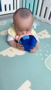 Đồ chơi heo nhảy nhót heo biết hát – Quà tặng đáng yêu cho bé mới nhất 2025