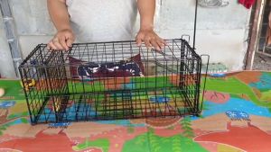 กรงดักพังพอน ดักอีเห็น ดักซิ่งกวัก ดักซิ่งกระปูด กรงกว้าง 26 เชน ยาว67 เชนสูง 26 เชน ผลิตภัณฑ์เสริมสวยพริ้นนู้และง่ายติดเร็ว ร่วมกับโครงสร้างแข็งแรงสำหรับความสวยงามและความงาม