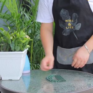 10pc Tiang Penyangga Tanaman Rambat / Bunga Anggrek Bentuk Setengah Lingkaran Bahan Plastik