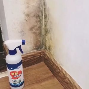 Remover Mildew Spot Stain Wall Mold 500ml 除霉王墙面除霉剂