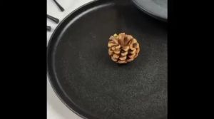 Dining Vaisselle - จานMerion plate เนื้อMatt เนื้อPorcelain Ceramic Plate อุปกรณ์บนโต๊ะอาหาร