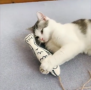 Đồ Chơi Cá Nhồi Bông Có Catnip In 3D Cho Mèo Vui Vẻ - iPet Shop