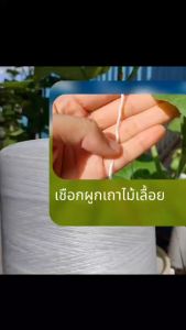 เชือกผูกเถาเมล่อน 100 เมตร/ม้วน (แพ็ค 10 ม้วน)