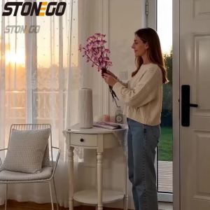 20 Đèn LED Hình Bướm Cành Lan Đèn Tiên Hoạt Động Bằng Pin Trang Trí Nhà Cửa Phòng Ngủ Giáng Sinh Đèn Ngủ Ngày Lễ