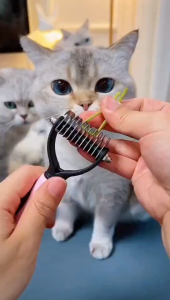 Cat Brush Cat Fur Knot Cutter Pets Hair Removal Comb Dog Grooming Shedding Tools Double Sided Stainless Brush Pet Products