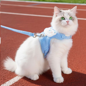 Petone dOrage | Adjustable Leash for Cats and Small Dogs Chest Harness