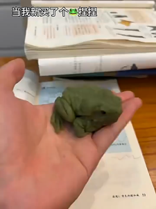 Đồ chơi cóc giả slime tay bóp dẻo đàn hồi troll bạn bè mới nhất 2025