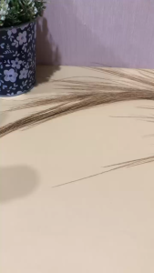 Sandal Wanita Jelly Import Tali Belakang Let Gunung Kepang Cantik Lucu Terbaru - 2312 37/40