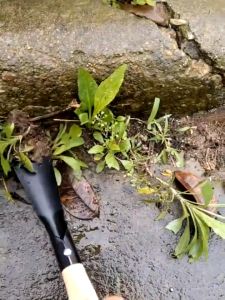Digging wild vegetables shovels garlic planting flowers flower raising tools agricultural veget Stable
