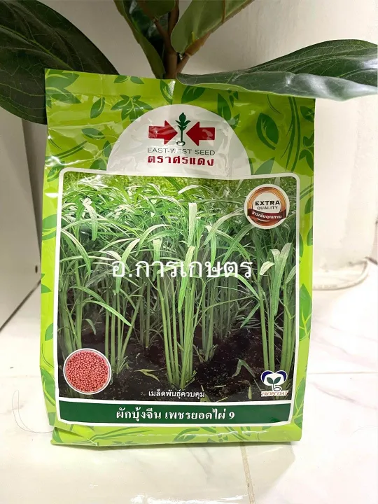 10 อันดับ เมล็ดพันธุ์ผักบุ้ง และผักสวนครัว ตราศรแดง น่าปลูกในปี 2025