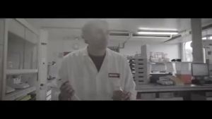 OXO Mote  4T Synthetic Motorcycle Engine Oil   Golden Sheep  5W-40 MB 1 L    Made in Vietnam