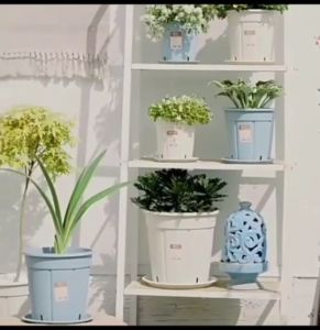 กระถางดอกไม้ทรงฟักทอง กระถางพลาสติก กระถางแต่งบ้าน กระถางlpเรียบหรู มินิมอล พร้อมจานรอง บ้านและสวน NG