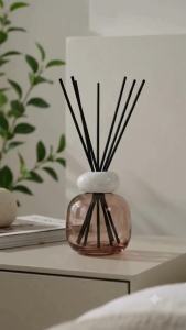 Maison Berger Paris Mineral Prune Reed Diffuser Set with Lady Flower Refill