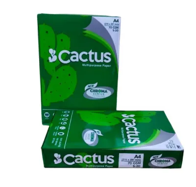CACTUS BOND PAPER 70GSM