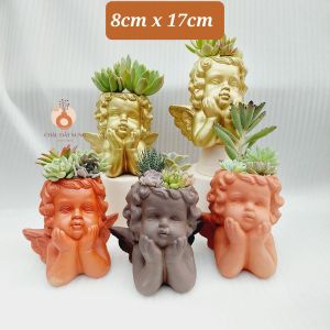 Chậu đất nung Bình Dương - Thiên Thần 817 đường kính miệng 8cm chiều cao 17cm