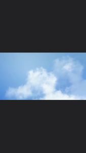 [ SOL-8 ] CAIRAN PEMBERSIH SOFTLENS SOL-8 60 ML FROM EXOTICON / MULTI PURPOSES SOLUTION