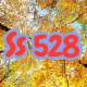 SS528
