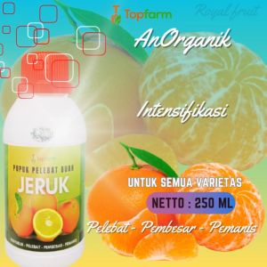 Pupuk Buah Jeruk Berbuah Lebat: Cara Meningkatkan Produksi Jeruk