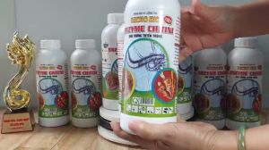 ENZYME CHITINI Làm ung trứng tuyến trùng bảo vệ rễ chai 1 lít - Phân bón vi sinh