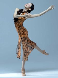 Classical Dance Special Cheongsam Womens Chinese Style High Slit Performance Dancing Costume Mesh Stretch Performance Improvement