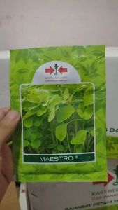 Benih Bayam MAESTRO CAP PANAH MERAH isi 50gram