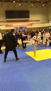 5pcs 0.9/1.5cm Thickness Taekwondo Performance Board Wooden Karate Board Martial Arts Training Board