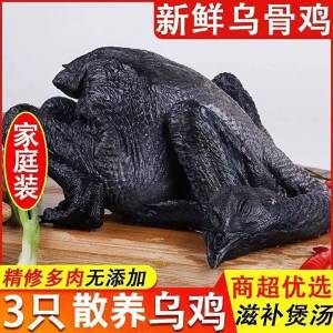 Fresh Farm-Raised Black-Boned Chicken