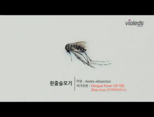 เครื่องดักยุง Controz 66 ดักจับยุงได้มากกว่ายี่ห้ออื่น 5 เท่า คอนโทรซ 66 กับดักยุง UV LED สินค้าสุด Premium จากเกาหลี จับยุงได้ 24/7 ปลอดภัยต่อคนและสัตว์เลี้ยง