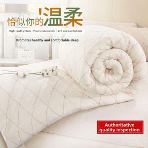 Thickened Spring Autumn Winter Quilt