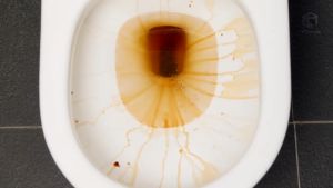 Toilet thơm tho sạch sẽ như khách sạn 5 sao? Bí quyết là đây - Bộ 18 Viên thả tự động vệ sinh làm sạch bồn cầu Hàn Quốc Blueshot