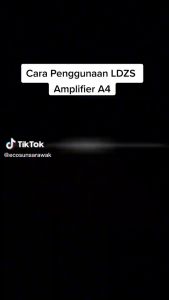 Amplifier LDZS A4 (Professional Power Amplifier)