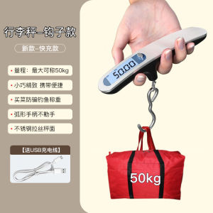 Portable High Precision Handheld Electronic Scale Mini Carry-On Luggage Fish Scale Kitchen Tool LCD Display Alloy Platform
