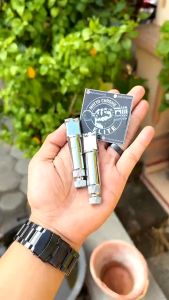 PNP GL MEGAPRO RXKING RXK AS PAHA REM BELAKANG ORIGINAL CHROME