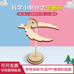Bộ Đồ Dùng Thực Hành Khoa Học Cho Trẻ Em Độ Tuổi Từ 7-14 Bao Gồm Vật Liệu Cân Bằng Chim Đại Bàng Bộ Đồ Dùng Thủ Công STEM